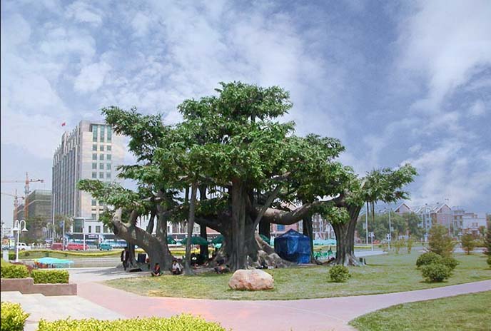 仿真樹的出現能增加美觀性，提高整體形象