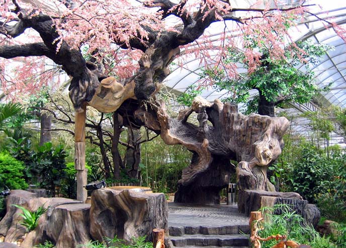 設(shè)計(jì)仿真樹的時候應(yīng)該從哪些方面來考慮?