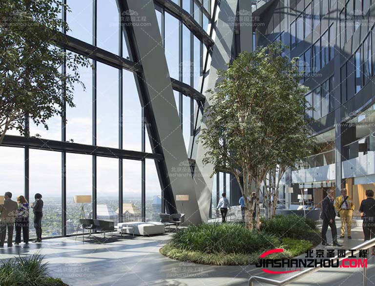 那么大家知道仿真樹為什么會如此的受到人們的喜愛呢