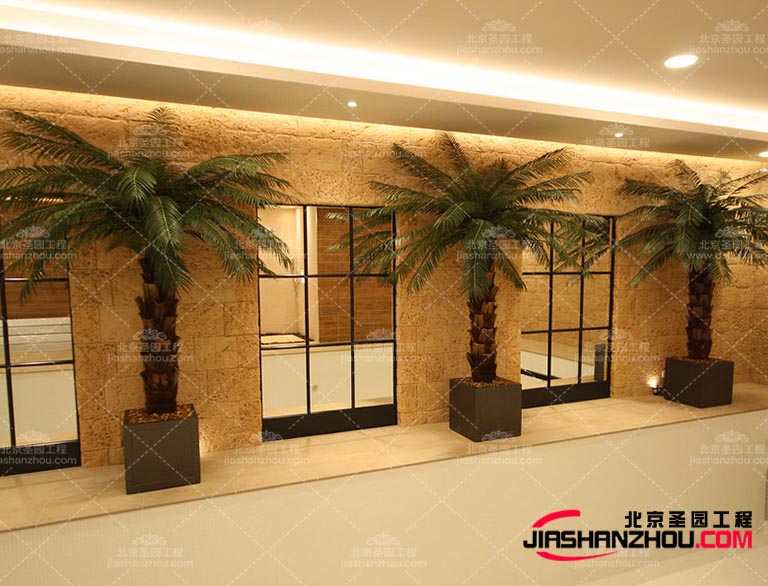 大家是否知道仿真樹的起源呢，是什么時候出現的呢