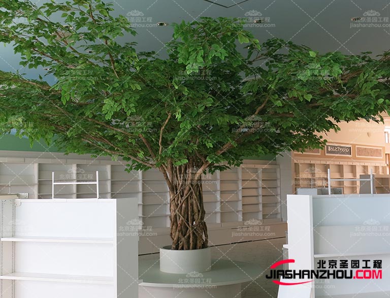 仿真樹他們需要從真實的植物中獲取靈感和素材并通過技術