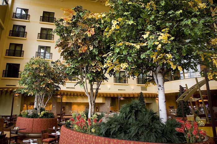 昌平景區商場假樹制作廠家 專業仿真樹造景施工隊