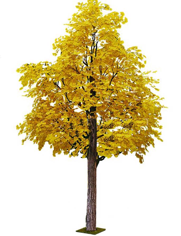 仿真銀杏樹(shù)