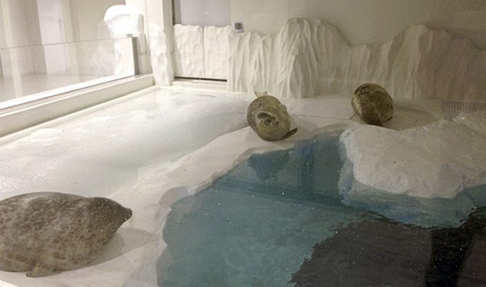 人造雪山.jpg 人造雪山