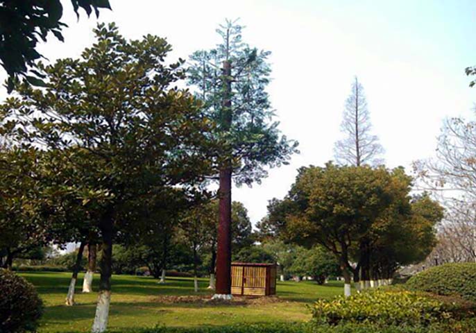 信號塔避雷針監(jiān)控桿仿真樹.jpg 信號塔避雷針監(jiān)控桿仿真樹