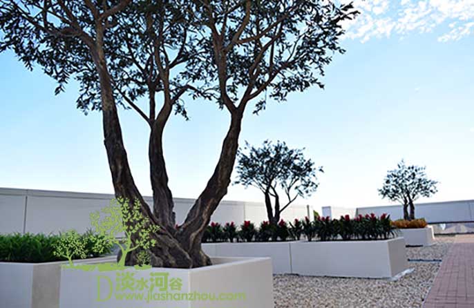 仿真樹.jpg 仿真樹