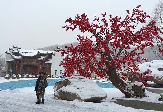 仿真樹.jpg 仿真樹