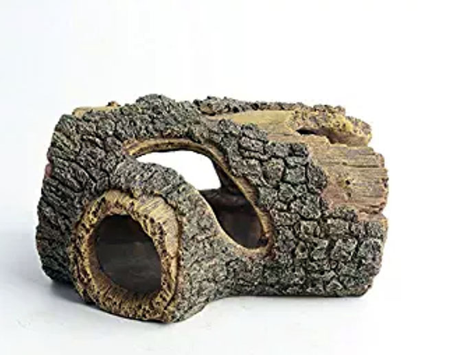 人造珊瑚礁及海洋館環境