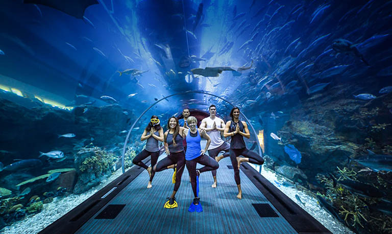 塑石假山.jpg 塑石假山