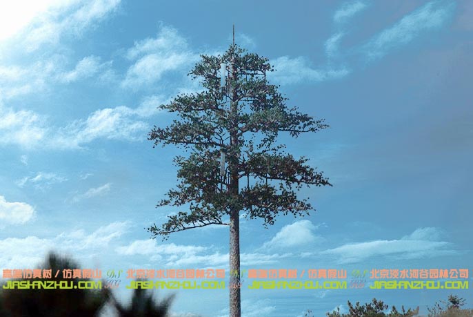 信號塔樹.jpeg 信號塔樹