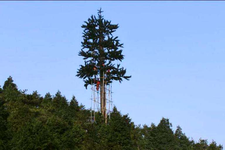 信號塔樹.jpeg 信號塔樹