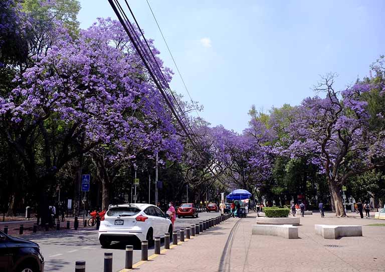 仿真樹皮.jpg 仿真樹皮