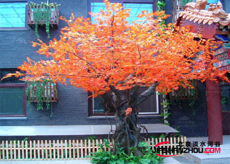 仿真樹(shù).jpg 仿真樹(shù)