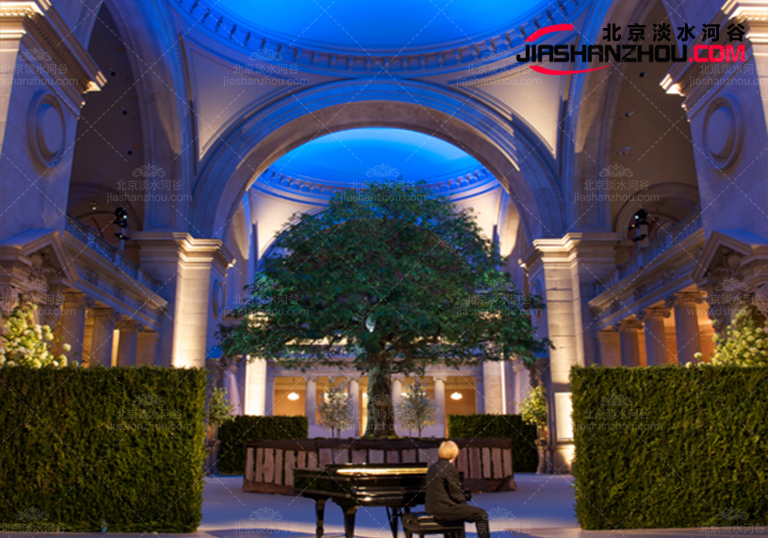 仿真樹.jpg 仿真樹