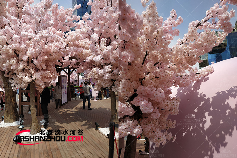 仿真樹.jpg 仿真樹.jpg