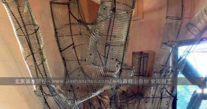 室內裝修大樹的圖片