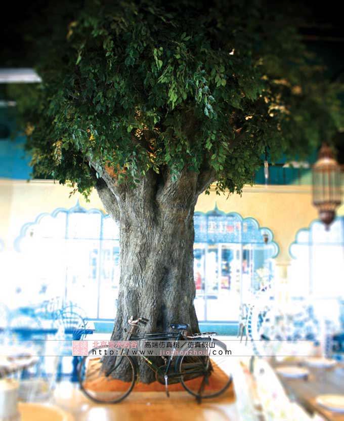 室內裝修大樹的圖片