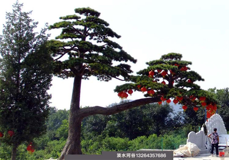 仿真松樹.jpg 仿真松樹