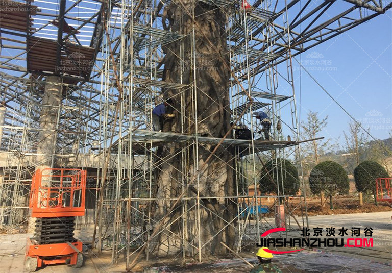 仿真樹.jpg 仿真樹