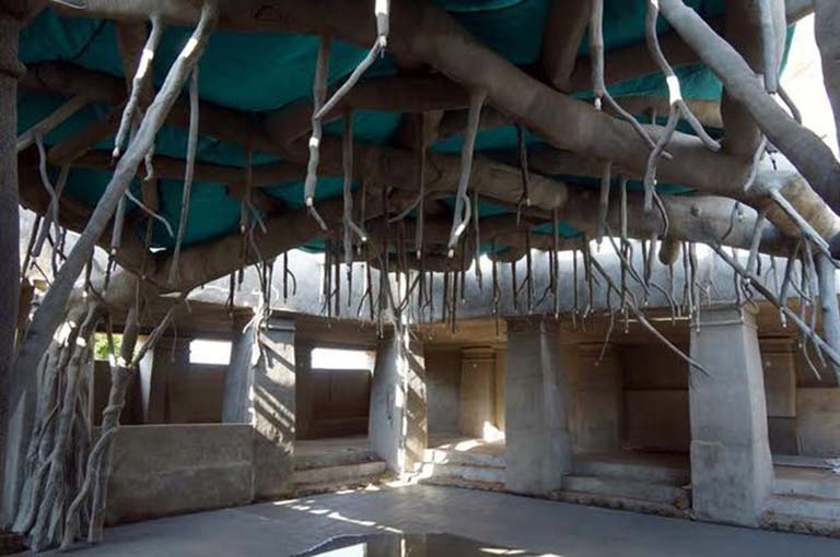 水泥做假樹根.jpg 水泥做假樹根