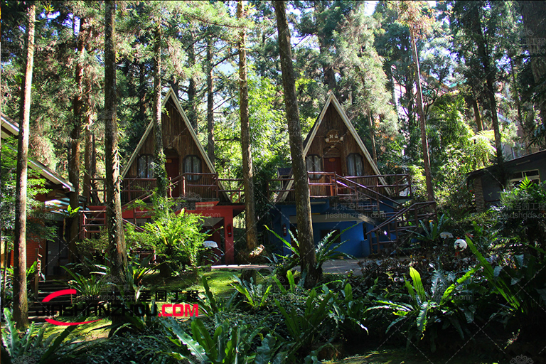 仿真樹.jpg 仿真樹