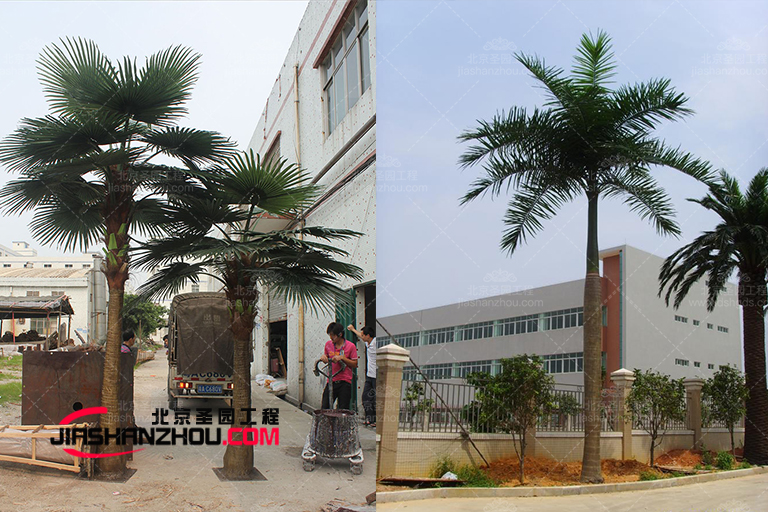 仿真樹.jpg 仿真樹