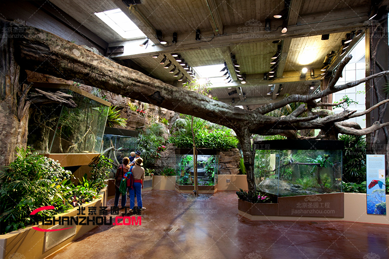 仿真樹.jpg 仿真樹