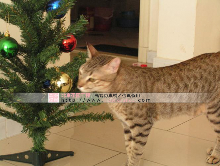 仿真樹.jpg 仿真樹