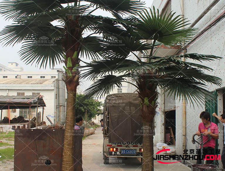 仿真樹.jpg 仿真樹