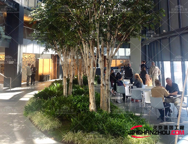 仿真樹.jpg 仿真樹.jpg